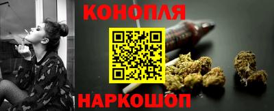 гидра Будённовск