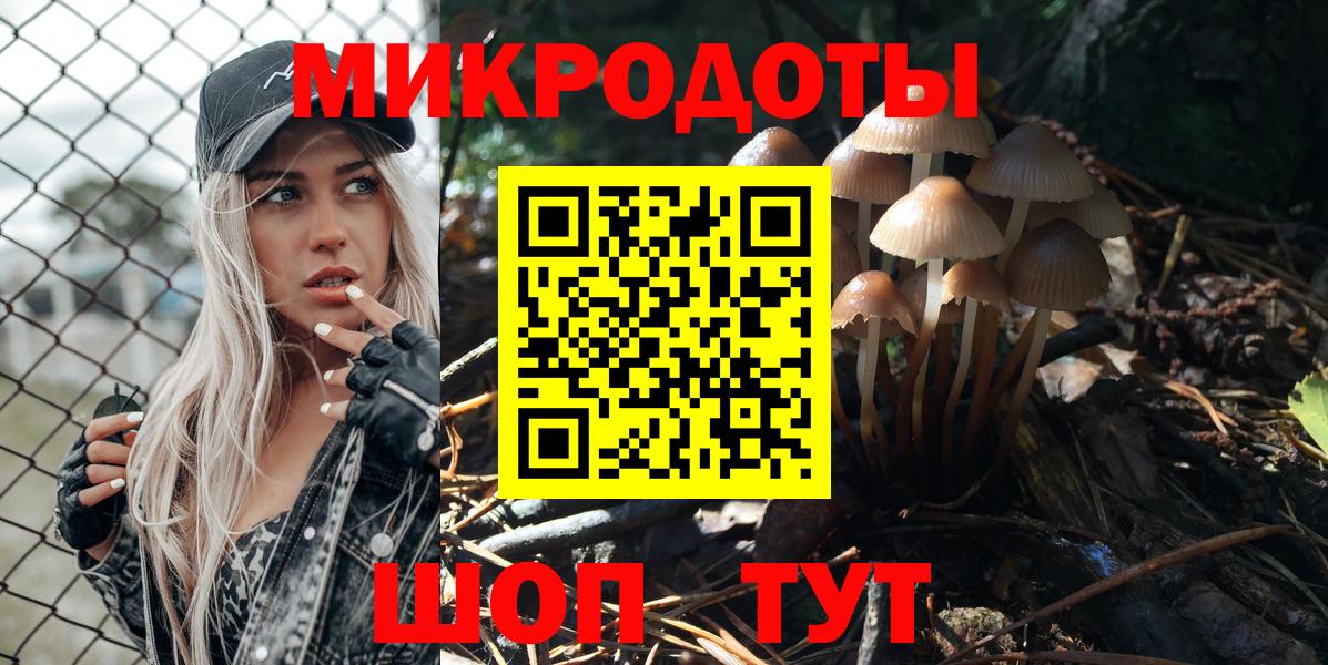 Псилоцибиновые грибы Cubensis Омск