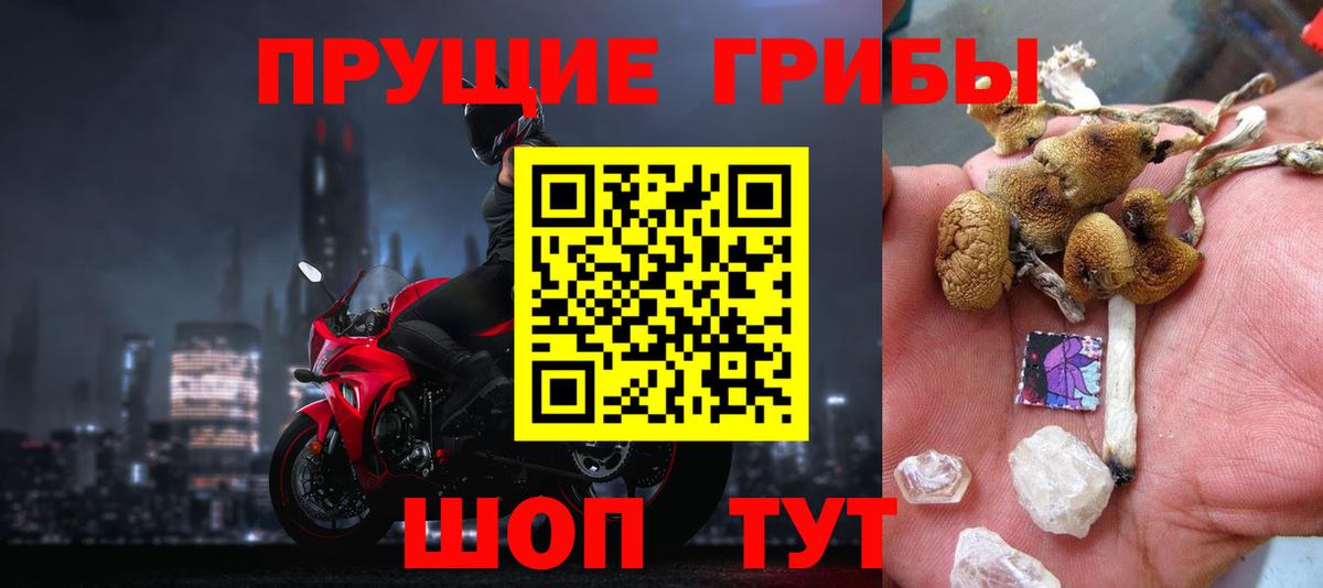 ТГК Омск